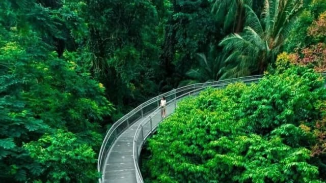 因部分走道山体滑坡 直落布兰雅山公园须关闭两年修复