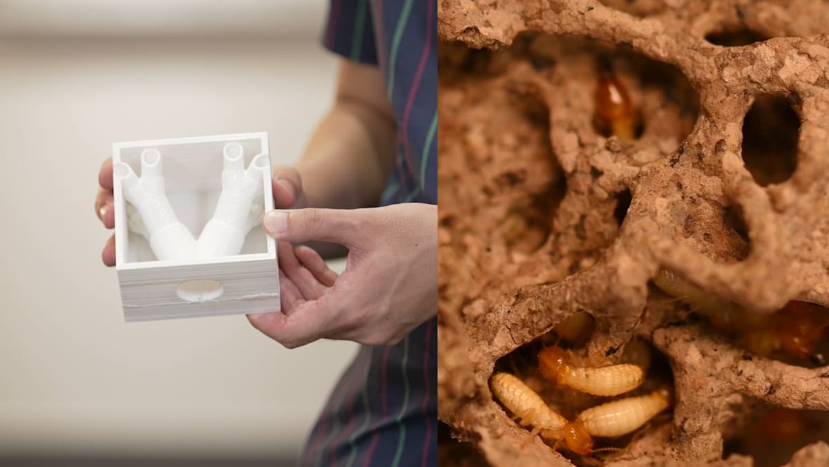 Why It Matters - S5E5: Nature To The Rescue!