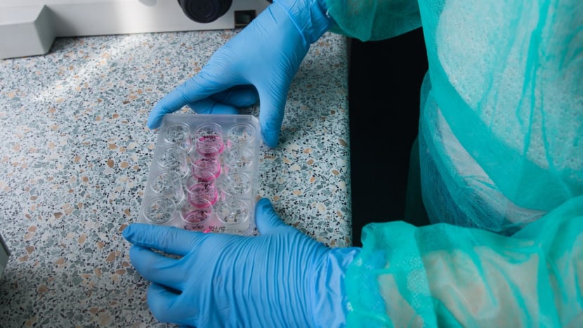 Commentary: The scandals rocking cancer science matter to your health Commentary: The scandals rocking cancer science matter to your health