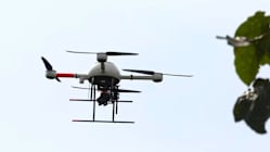 Related article image