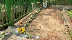 Related article image