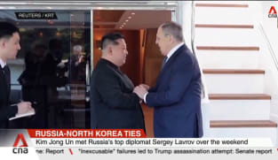 Pyongyang reaffirms support for Moscow on Ukraine