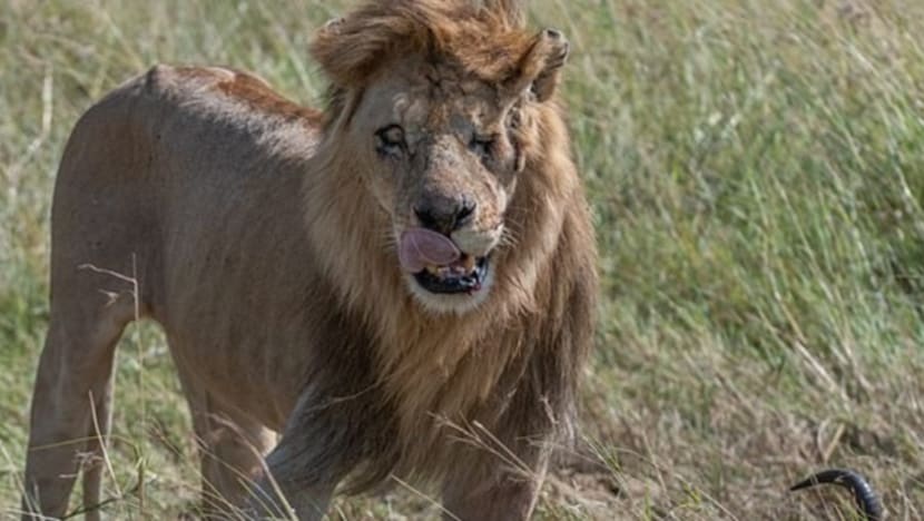 Gambar Pilihan Hari Ini