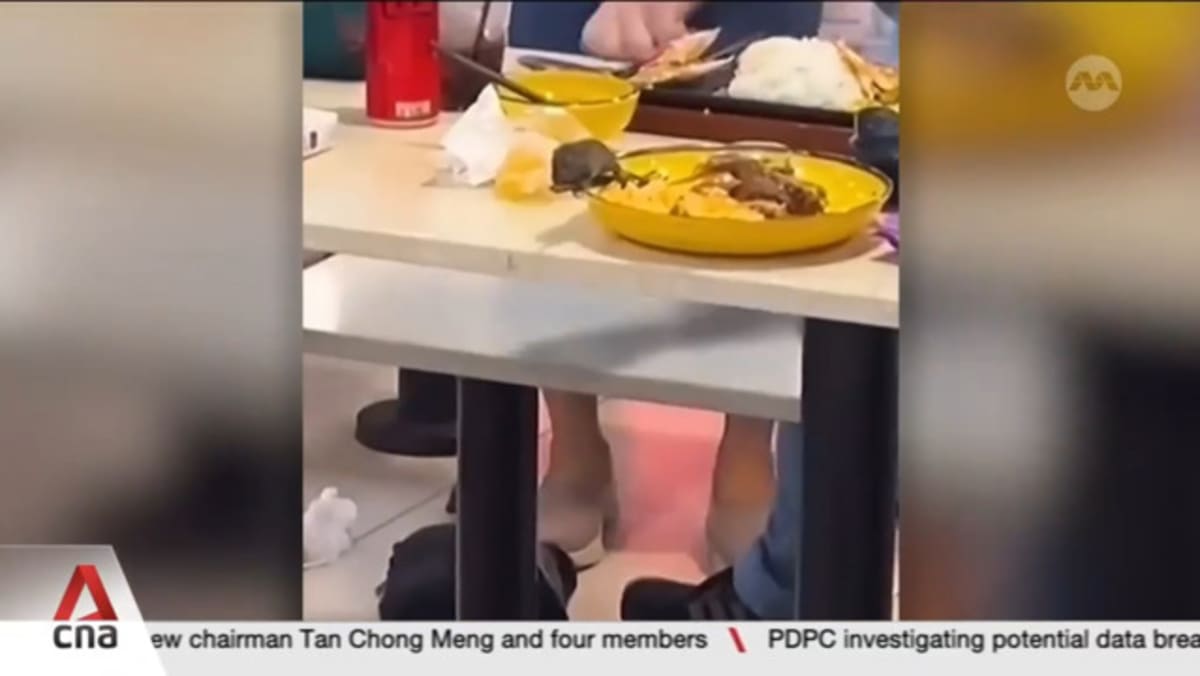 Rat infestations: More than 230 cases of lapses at F&B outlets in Singapore in 2025