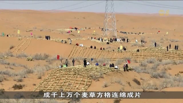 中国宁夏筑绿色屏障 推动防沙治沙