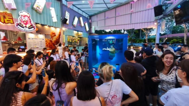 从空中飞到水里游！本地最大集装箱园区体验升级，还能在飞机跑道旁看美人鱼