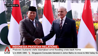 Indonesia, Pakistan sign wide-ranging agreements as both countries mark 75 years of diplomatic ties
