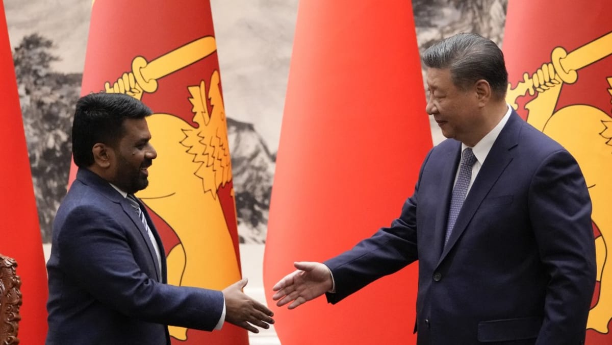 Xi hails ‘historical opportunity’ for China-Sri Lanka ties in talks with president