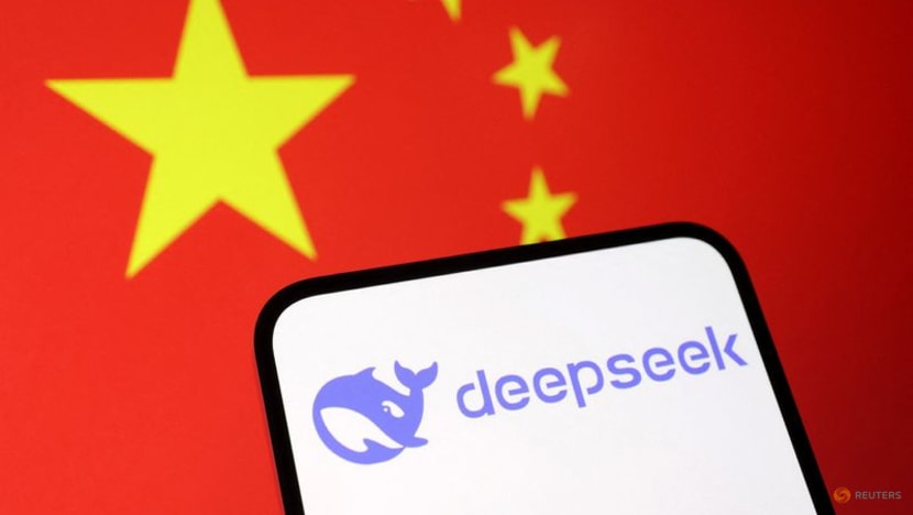 ‘Made in China’: Pride, pleasant surprise from Chinese netizens as DeepSeek jolts global AI scene ‘Made in China’: Pride, pleasant surprise from Chinese netizens as DeepSeek jolts global AI scene