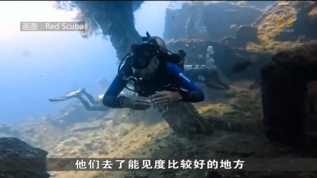 走出疫情阴霾 国人重新投入潜水登山等户外活动