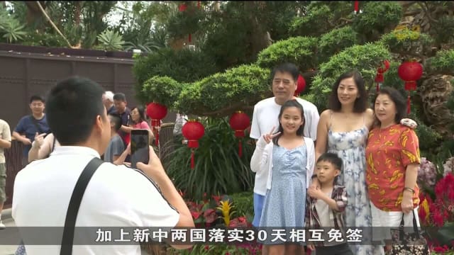 农历新年期间 滨海湾花园访客人数同比多出一倍