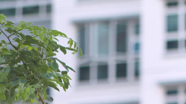 晨光|大数据新视力：非成熟市镇租金 兀兰盛港涨幅领先
