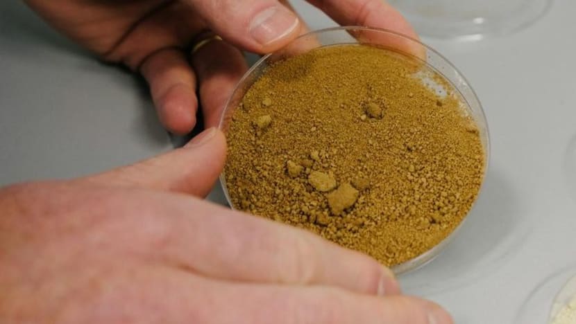 Saintis Finland cipta biji kopi di makmal dengan aroma, rasa menyerupai aslinya