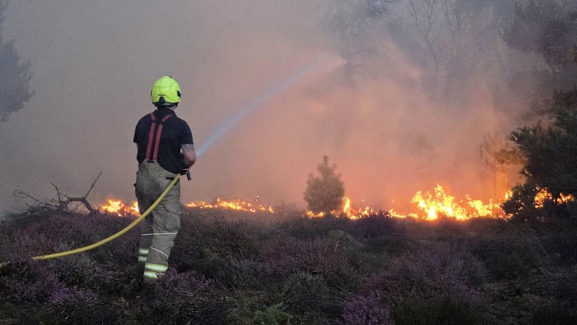 Incendio forestal en el este de Inglaterra causa preocupación en la comunidad local