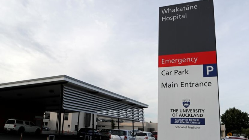 New Zealand draft infrastructure plan outlines need for more hospitals, electricity