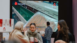 Related article image