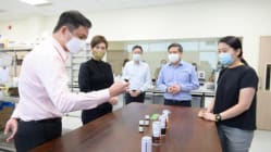 Related article image