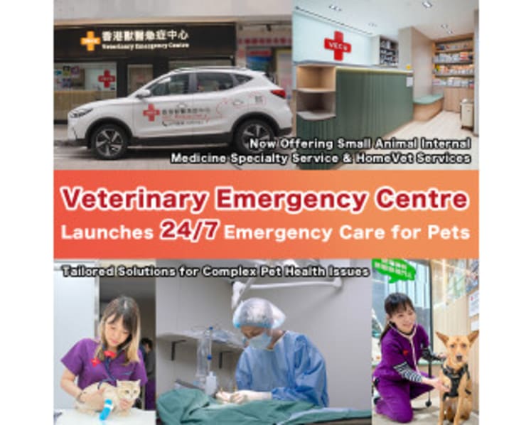 Veterinary Emergency Centre Launches 24/7 Emergency Care for Pets Now Offering Small Animal Internal Medicine Specialty Service & HomeVet Services