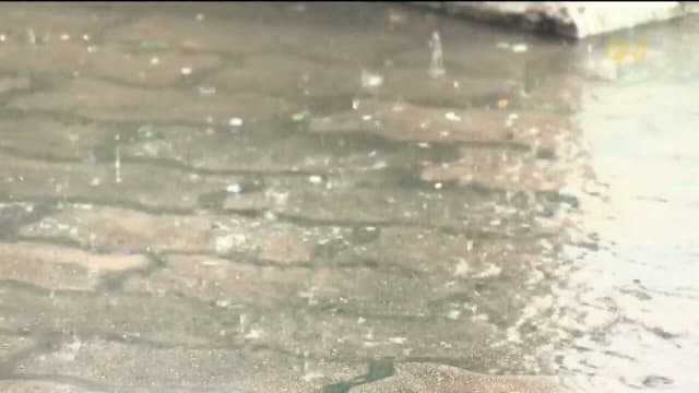 本地今明两天将出现夹带雨的大风天气