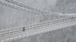 Related article image