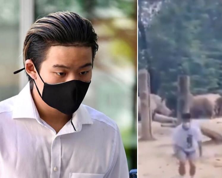 19-year-old charged with trespass into rhino enclosure at Singapore Zoo for TikTok backflip stunt