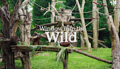 Window Into The Wild
