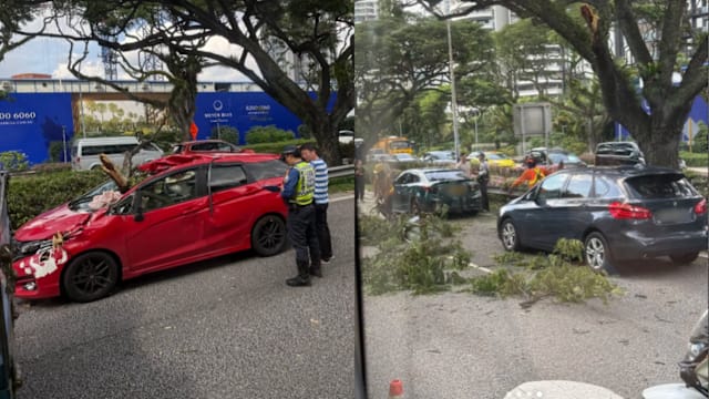 ECP路旁树枝砸落 多辆车受损致严重堵塞三人送院