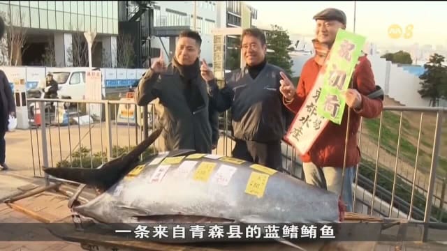 日本新年鲔鱼竞拍 一条鱼以1亿多日元天价出售