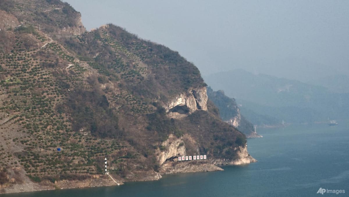 A cliff that looks like a puppy resting beside the Yangtze River delights people in China