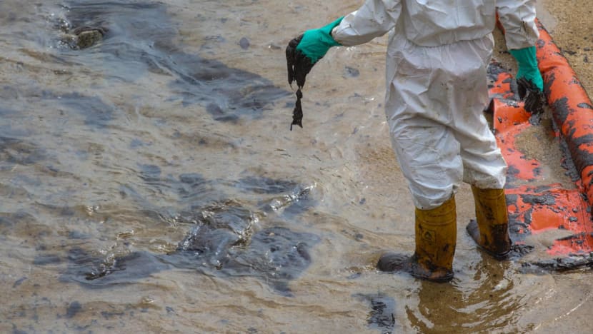 Cleaning of all beaches affected by oil spill to be completed 'within the next one month or so': Grace Fu