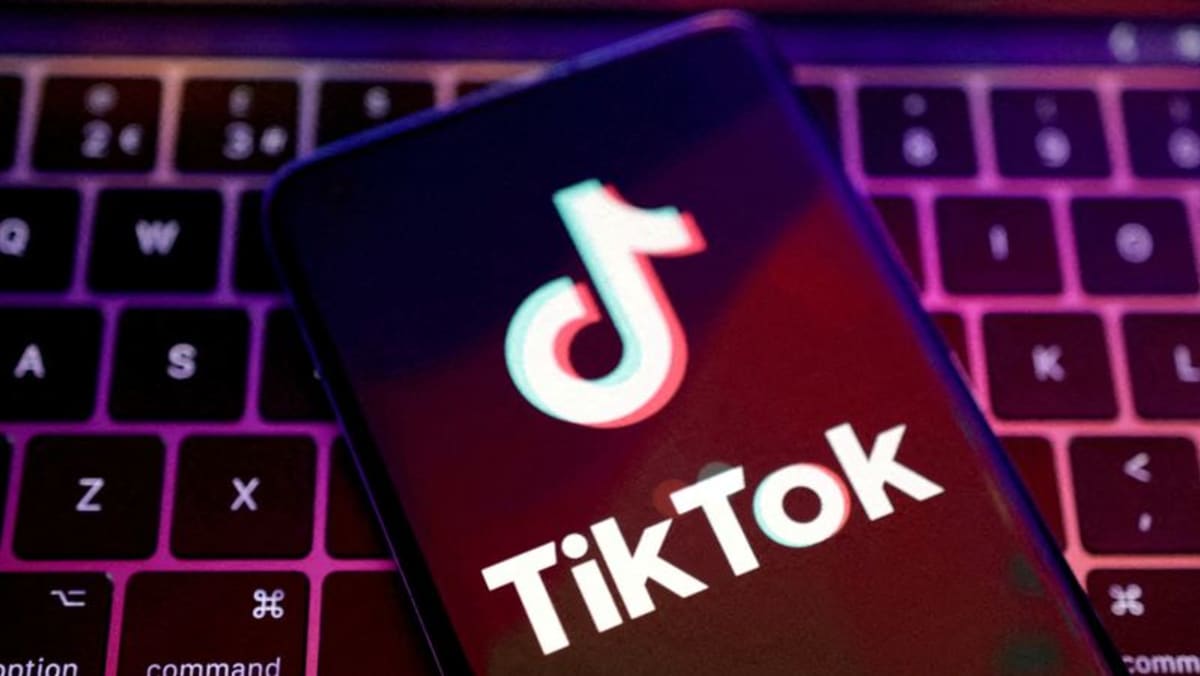 Romanian voters again turn to TikTok for guidance in rerun of annulled election - Channel News Asia (Picture 1)