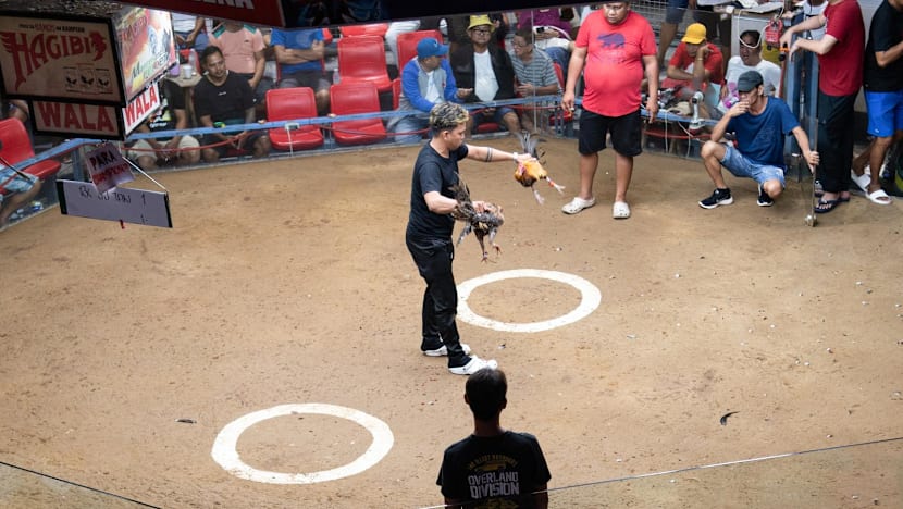 Korean Air bans roosters on US-Philippine routes amid cockfighting outcry