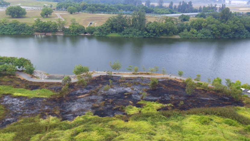 Fire breaks out at Punggol field