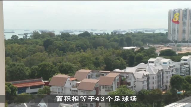 东海岸部分林地将被清除 自然环境专家：将对动植物造成无可逆转的破坏