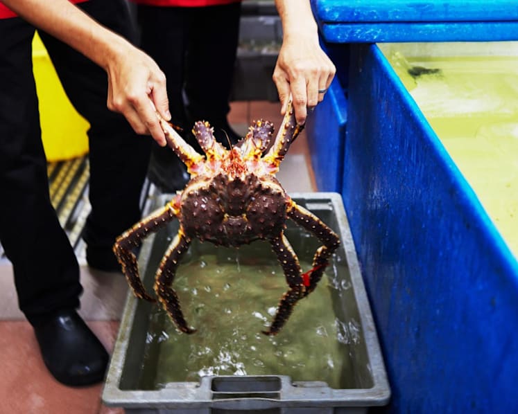 No conflict, please: Restaurant operators say staff trained to confirm prices when diners order seafood