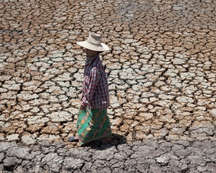 Singapore’s imports of Thai rice 'easily met' by alternative sources but climate change could affect food security