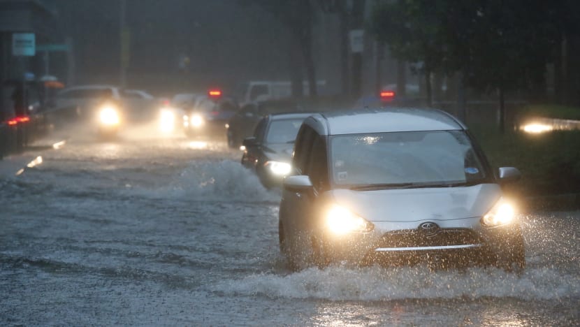 Explainer: Why climate change should matter to Singaporeans and what the Govt is doing about it