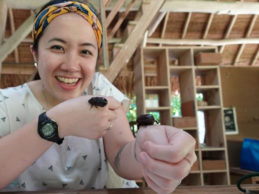 This insect-loving Singaporean is on a mission to make you see bugs differently through her art This insect-loving Singaporean is on a mission to make you see bugs differently through her art