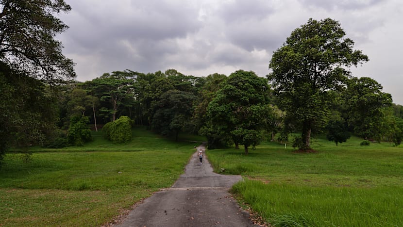 Keen interest for Bidadari in bumper HDB launch