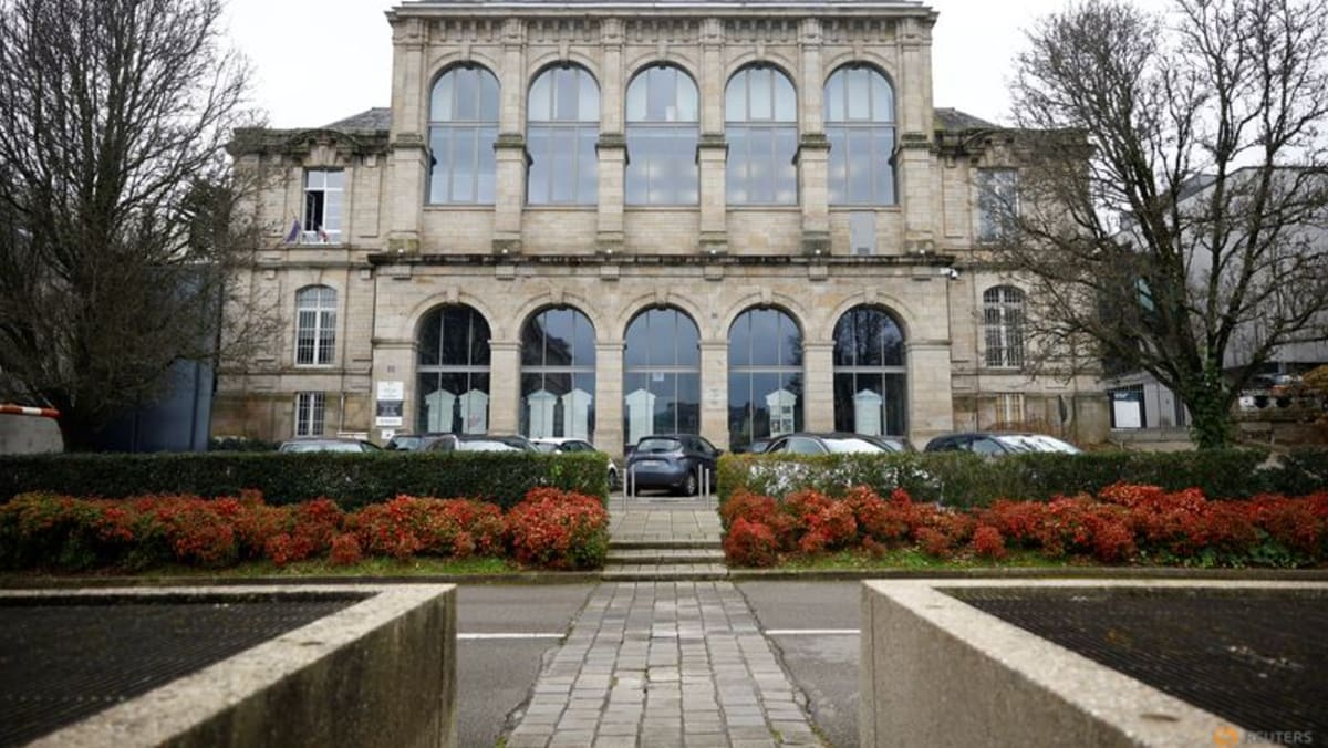 After shocking Pelicot crimes, French surgeon to face trial in child sex abuse case After shocking Pelicot crimes, French surgeon to face trial in child sex abuse case