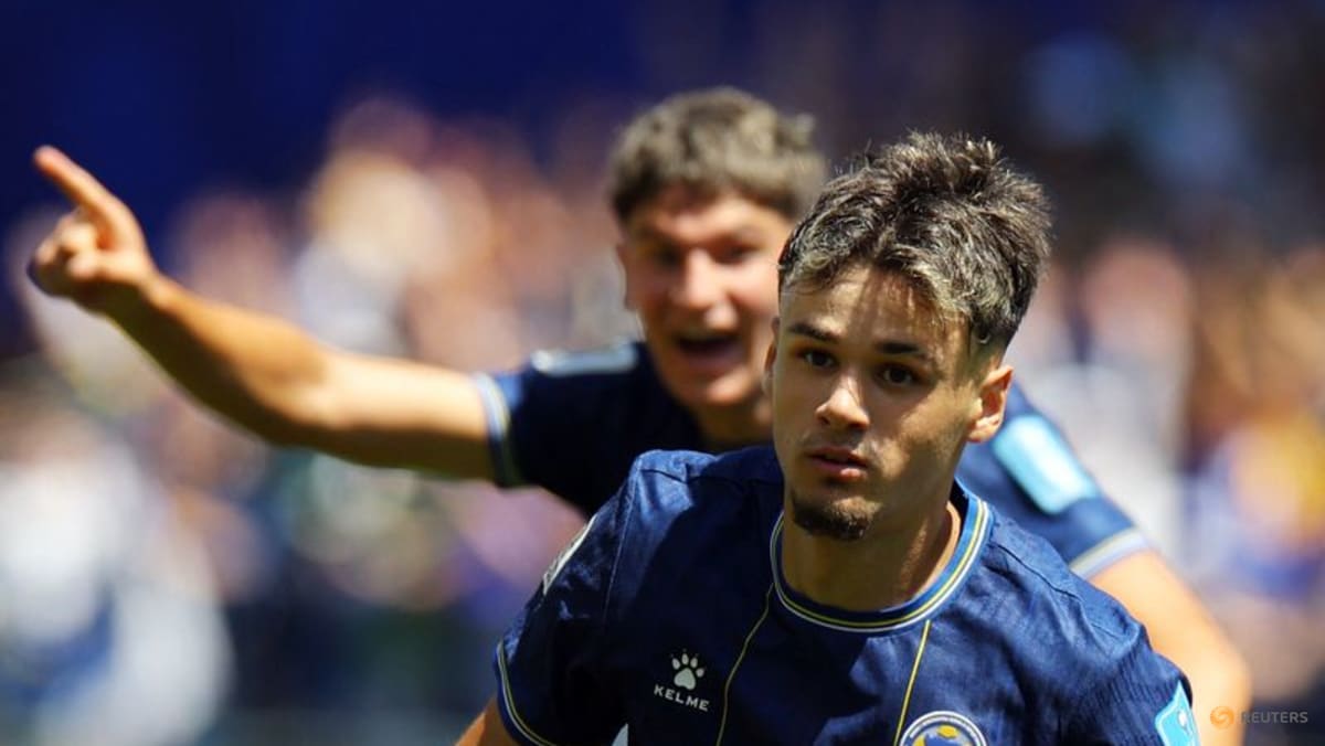 Bosnia's Alajbegovic shows country's soccer future