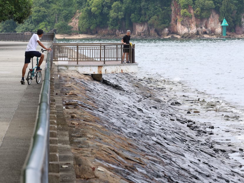 Singapore's water supply not affected by oil spill, coastal drains not linked to reservoirs: PUB