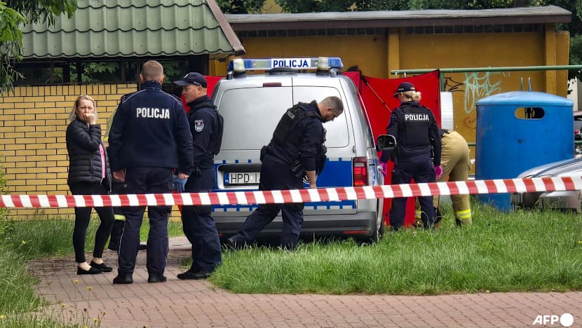 Poland's PM Suggests Russian Artist's Shooting Was 'Political Murder'