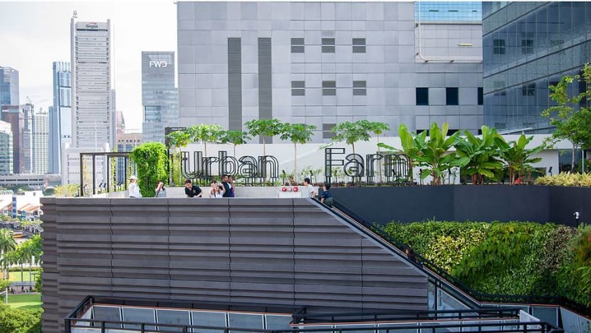 Raising the roof: Cultivating Singapore’s urban farming scene