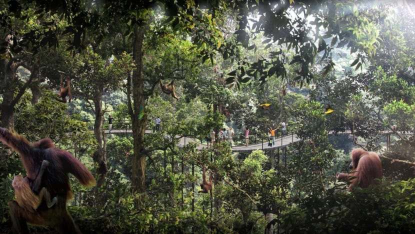 Mandai resort could be novel staycation option and draw tourists who enjoy the tropics