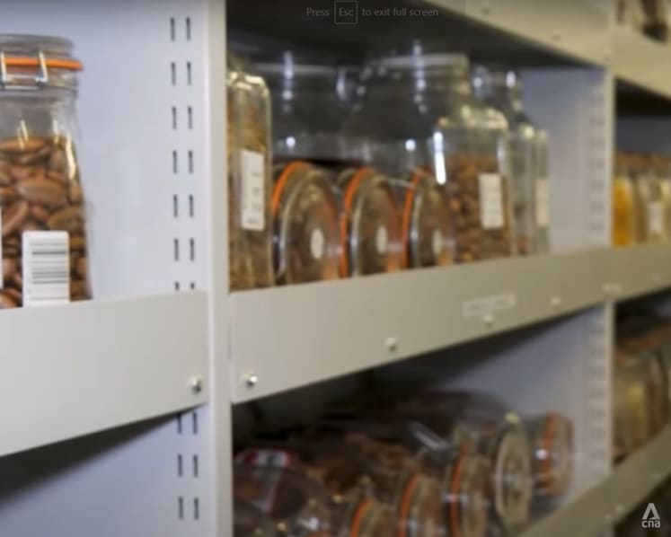 ‘Like a Noah's Ark of plants’: Conservation facility in the UK builds up collection of 2.4 billion seeds