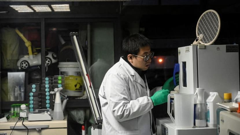 Related article image