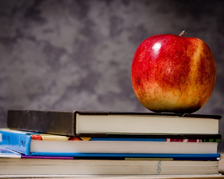 Standardised teaching sequence of science topics in primary schools will help students with dyslexia
