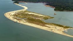 Related article image