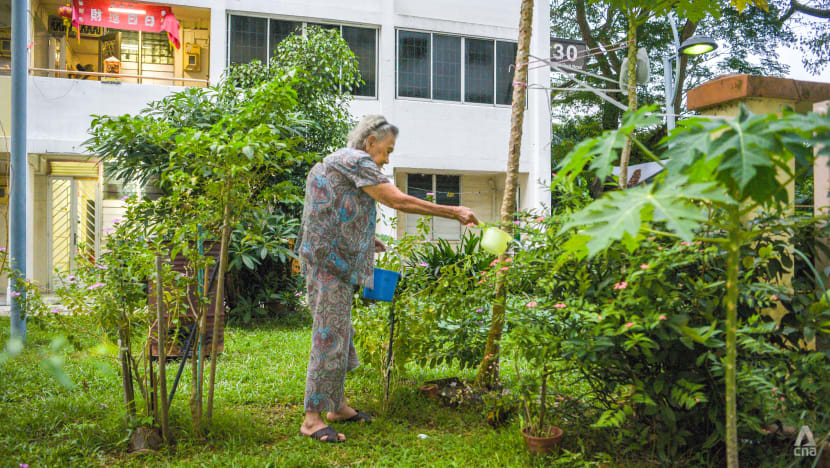 For old folks, leaving Tanglin Halt is like losing a kampung family. Can it be replaced? For old folks, leaving Tanglin Halt is like losing a kampung family. Can it be replaced?